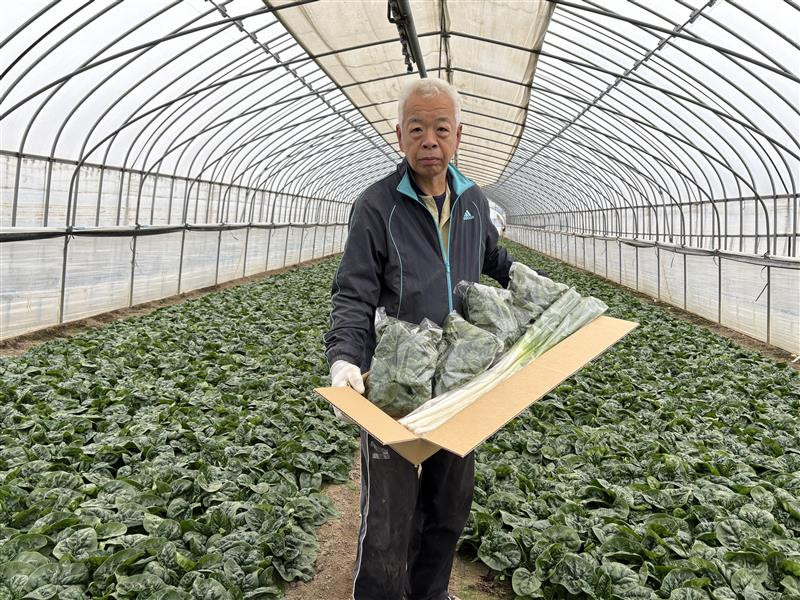 【先行予約】八雲産軟白ねぎ1kg+寒ちぢみほうれん草800gセット(2025年12月中旬以降発送開始予定) 【 野菜 ネギ ホウレン草 やさい ホウレンソウ 葉物野菜 北海道 旭川市 】