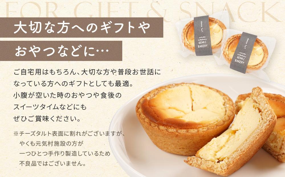 八雲チーズタルト　60g×18個入 【 タルト チーズ  スイーツ スイーツセット デザート デザートセット お菓子 洋菓子 食品 お取り寄せ グルメ 八雲町 北海道 】