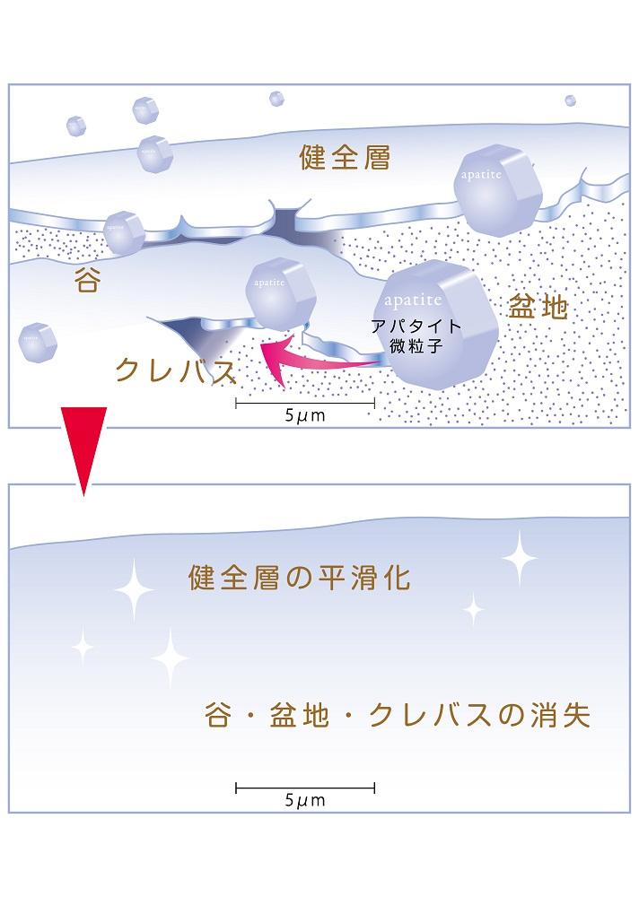 天然予防ハミガキ粉　シェルピカ80g×3本セット 【 歯磨き粉 ハミガキ粉 歯磨き 薬用ハミガキ オーラルケア 口臭予防 日用品 八雲町 北海道 】