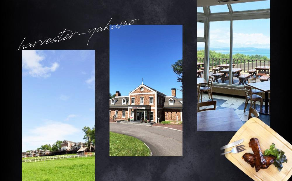 ハーベスター八雲　八雲産豚のスペアリブ3パックセット