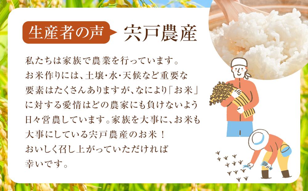 北海道八雲町熊石産 令和7年度産ゆめぴりか10kg(精白米)2025年10月上旬～発送開始【 北海道八雲町熊石産 ゆめぴりか 10kg 精白米 米 お米 おこめ コメ こめ おうちごはん 家庭用 八雲町 北海道 】