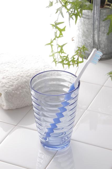 天然予防ハミガキ粉　シェルピカ80g×3本セット 【 歯磨き粉 ハミガキ粉 歯磨き 薬用ハミガキ オーラルケア 口臭予防 日用品 八雲町 北海道 】