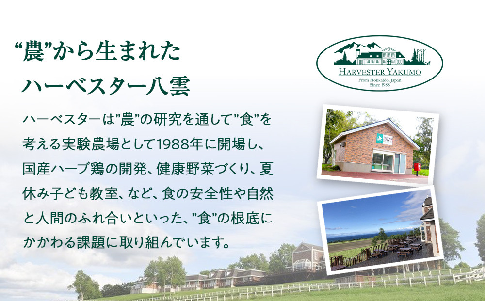 ハーベスター八雲　八雲ピザ工房 北海道産チーズの贅沢マルゲリータ1枚