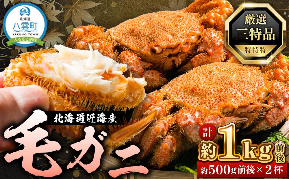 先行予約【厳選三特品】北海道近海産毛ガニ500g前後×2尾 2025年9月上旬発送開始予定【 毛がに 北海道 かに 蟹 かにみそ 小分け 毛蟹 八雲 海産物 魚介類 水産物応援 水産物支援 】