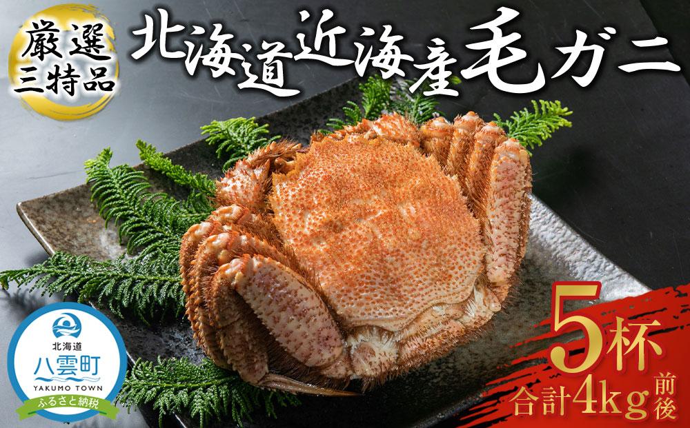 先行予約【厳選三特品】北海道産近海毛ガニ800g前後×5尾 2025年9月上旬発送開始予定【 毛がに 北海道 かに 蟹 かにみそ 小分け 毛蟹 八雲 海産物 魚介類 水産物応援 水産物支援   】