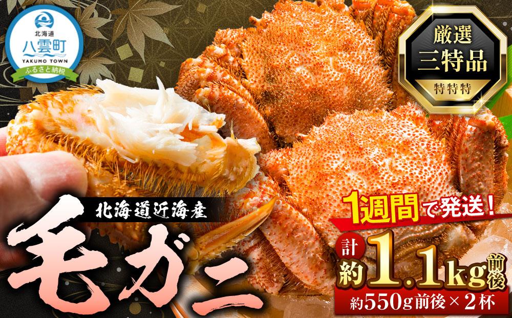 先行予約【厳選三特品】北海道産近海毛ガニ550g前後×2尾2025年9月上旬発送開始予定【 毛がに 北海道 かに 蟹 かにみそ 小分け 毛蟹 八雲 海産物 魚介類 水産物応援 水産物支援 】