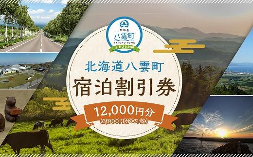 北海道八雲町　宿泊割引券3,000円分×4枚【 宿泊券 割引券 旅行 ホテル ホテルチケット 観光 宿泊 ご当地 八雲町 北海道 】
