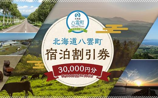北海道八雲町　宿泊割引券3,000円分×10枚【 宿泊券 割引券 旅行 ホテル ホテルチケット 観光 宿泊 ご当地 八雲町 北海道 】