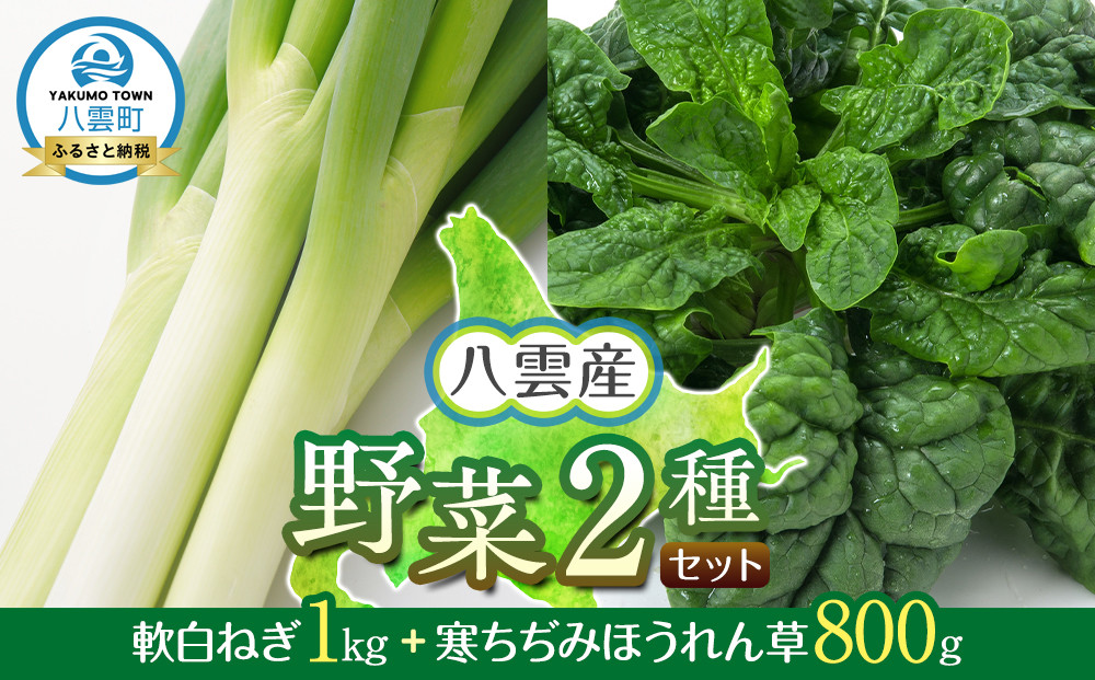 【先行予約】八雲産軟白ねぎ1kg+寒ちぢみほうれん草800gセット(2025年12月中旬以降発送開始予定) 【 野菜 ネギ ホウレン草 やさい ホウレンソウ 葉物野菜 北海道 旭川市 】