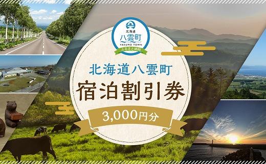 北海道八雲町 宿泊割引券3,000円分[ 宿泊券 割引券 旅行 ホテル ホテルチケット 観光 宿泊 ご当地 八雲町 北海道 ]