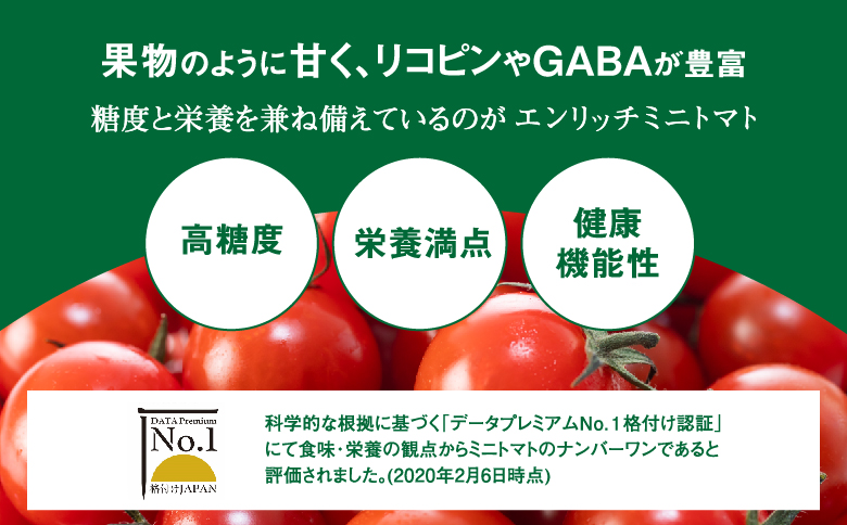 【先行予約】エンリッチミニトマト1kg【070006】