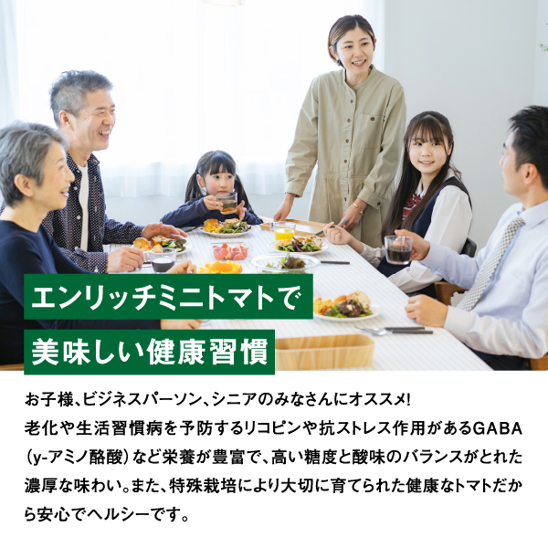 【先行予約】エンリッチミニトマトセット3箱セット【070002】