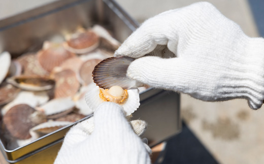 湾宝稚貝のガンガン焼き【170007】