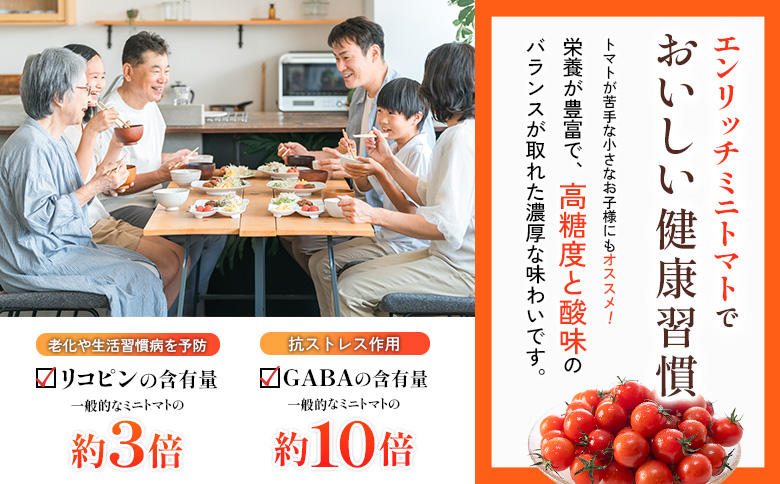 エンリッチミニトマトジュース　300ml×2本セット【070009】