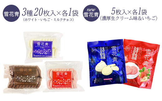 【詰め合わせ】雪花青 訳あり＆手土産セット【120042】