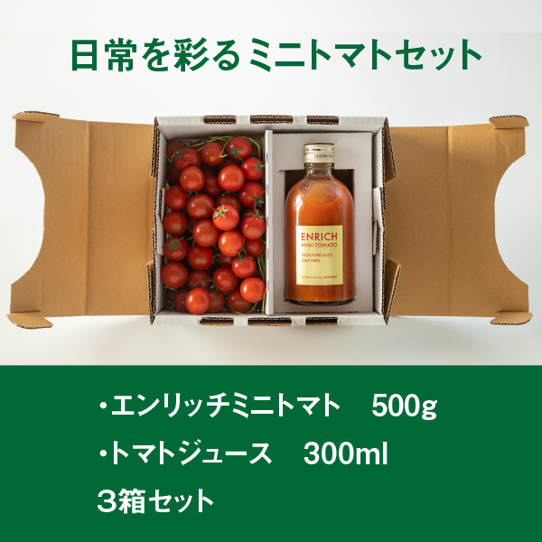 【先行予約】エンリッチミニトマトセット3箱セット【070002】