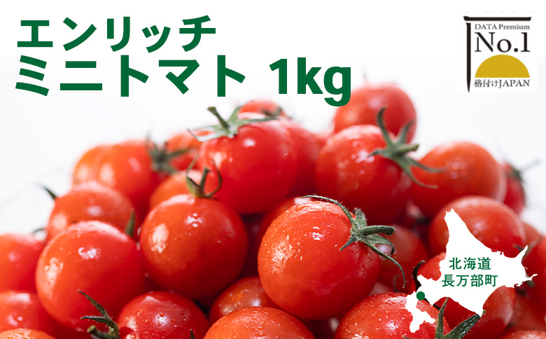 【先行予約】エンリッチミニトマト1kg【070006】