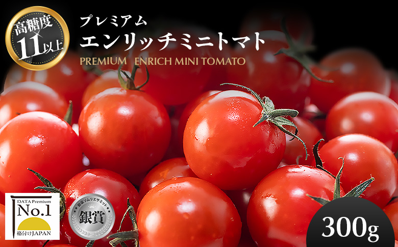 【先行予約】【高糖度11以上】PREMIUM ENRICH MINI TOMATO 300g（プレミアムエンリッチミニトマト）【070007】