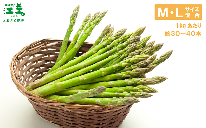 ＼春アスパラ 先行予約 2026年4月～順次出荷予定／北海道江差町産 アスパラガス【M～Lサイズ】 1kg　30～40本　朝採り　農家直送　新鮮　鮮度保持　北海道　旬野菜　グリーンアスパラ　アスパラ　ギフト　贈答