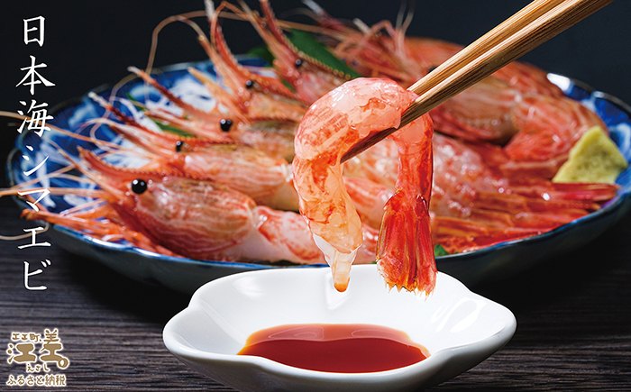 【早期予約・12月中旬以降 順次出荷予定】北海道産 違いが分かる天然日本海シマエビ 中サイズ 500g　色鮮やかで香りよし 濃厚な甘み 食べれば分かる格別の味！　国産　江差近海産　天然もの　エビかご漁師直送　最良品厳選　生食可　お刺身　唐揚げ　海老