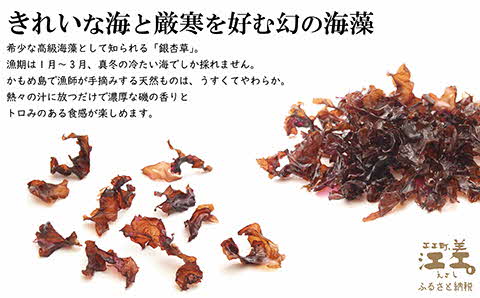 【数量限定】かもめ島特産 手摘み 天日干し 「天然ぎんなん草」 30g（10g×3袋）　無添加　無着色　日本海　ミネラル　低カロリー　天然海藻