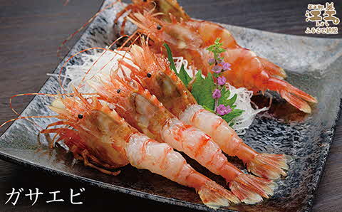 【早期予約・12月中旬以降 順次出荷予定】北海道産 「幻のえび」希少な天然ガサエビ 500g　引き締まった身肉と飽きのこない旨味 濃いエビの味が楽しめます！　国産　江差近海産　天然もの　エビかご漁師直送　最良品厳選　生食可　お刺身　天ぷら　エビフライ　海老