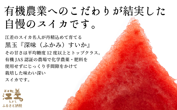 【2026年8月下旬発送開始】北海道産 黒皮 深味すいか  中玉 5.5kg以上 1玉  有機農産物（JAS認証）　高糖度　化学農薬不使用　オーガニック　有機農業　スイカ　すいか　西瓜　 高級西瓜　黒皮すいか　黒玉スイカ　フルーツ　果物　くだもの