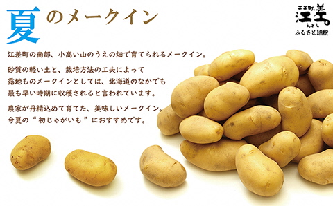 【お申込み順に出荷中】砂質土育ち「夏」メークイン M・L混合5kg　露地もの　手掘り　江差産メークイン　北海道のじゃがいも　芋の塩煮　肉じゃが　カレー　シチュー　コロッケ　色々なお料理に　北海道産