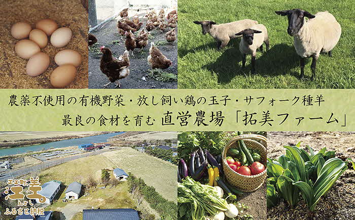 「お造りグレードアッププラン」江差旅庭 群来（くき）《おひとり様宿泊券》　近海産の新鮮な魚介のお刺身7点盛り合わせ　北海道の高級旅館　大人の隠れ家　源泉かけ流し天然温泉宿　個室温泉付き客室　直営農場の平飼い卵・サフォーク羊・野菜山菜　船買いの新鮮魚介　温泉熱を利用した暖房給湯　食と環境にこだわった7部屋限定の癒しの宿