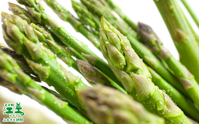 ＼春アスパラ 先行予約 2026年4月～順次出荷予定／《訳あり》北海道江差町産 アスパラガス 1kg【サイズ不揃い・規格外MIX】　見た目は良くなくても鮮度や味は正規品と変わりません！　朝採り　農家直送　新鮮　鮮度保持　北海道　旬野菜　グリーンアスパラ　アスパラ　ご自宅用　無選別・規格外・ハネ物・B品