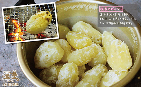 【9月頃～順次出荷】北海道江差産 メークイン 5kg M・L混合　しっとり甘い江差産　秋の収穫　北海道のじゃがいも　いもの塩煮にぴったり　いかの塩辛と一緒にどうぞ　ジャガバター　フライドポテト