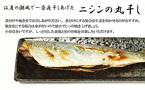 《北海道産》江差前浜産にしん使用 江差のニシン三種セット　糠にしん2本・丸干し2本・甘露煮1袋（半身3枚入）　浜のかあさん手づくり　江差の漁師めし　伝統の味