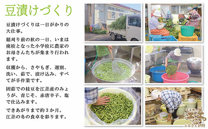 《12月初旬～発送・数量限定》北海道産 枝豆の漬物〈江差の豆漬け〉約800g（400g×2パック）　江差産大粒大豆「ゆめのつる」使用　青しそ・みょうが・唐辛子　乳酸発酵　酸味のある漬け物　保存料不使用　着色料不使用　国産　伝統食