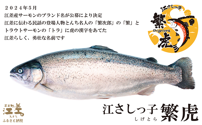 北海道産 スモークサーモン姿切スライス 2箱セット 計500g　250g（50g×5P）×2　　王子サーモン　北海道江差産トラウトサーモン　純国産ブランドサーモン『江さしっ子 繁虎』　燻製　個包装　のし対応可　贈答用　ギフト　お中元　お歳暮　お祝い