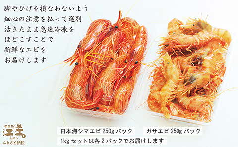 【早期予約・12月中旬以降 順次出荷予定】北海道産 天然えび食べくらべセット　計1kg　濃厚な甘みの日本海シマエビ（大）500g＆飽きのこない旨みのガサエビ500g　国産　江差近海産　天然もの　エビかご漁師直送　最良品厳選　生食可　お刺身　天ぷら　エビフライ　海老