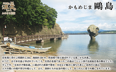 【数量限定】かもめ島特産 手摘み 天日干し 「天然ふのり」 50g（25g×2袋）　無添加　日本海　ミネラル　低カロリー　天然海藻