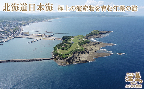 緊急支援品】『檜山海参』 10本 北海道産潜水手採り最高級なまこ 中華料理の最高級食材 北海道檜山産フリーズドライなまこ: 江差町ANAのふるさと納税