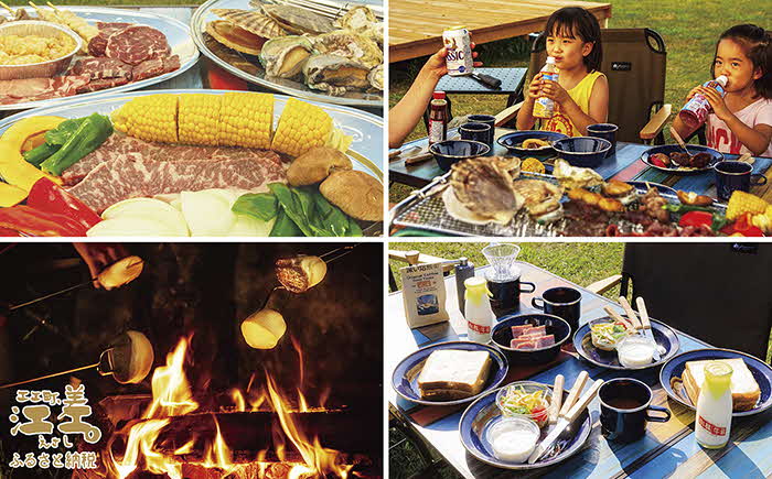 《かもめ島マリンピング2025》高級グランピングプラン『ISLAND（アイランド）』ペア1泊2日利用券　ドームテント宿泊　シングルベッド×4　利用人数追加可能　冷暖房・コンセントあり　フルサポートキャンプ　海鮮BBQディナー　焚火マシュマロ　朝食付き　アクティビティ　マリンスポーツ　SUP　シュノーケリング　海水浴　釣り　檜山道立自然公園特別エリア