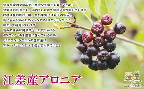 北海道産ミルク使用　江差産果実のアイスクリーム　アロニア【思いやり型返礼品】120ml×6個　「とろけるくちどけ　あふれるミルク感」 農福連携