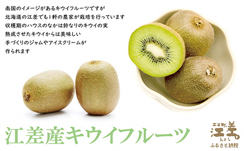 江差産果実の手づくりジャム　アロニア＆キウイフルーツ【思いやり型返礼品】各150g（計2個）　「自然のめぐみを生かした手づくりジャム」　農福連携