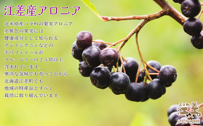 江差産果実使用 手摘み・手作り「アロニアじゃむ」1瓶170g×2本 　北海道産アロニアベリー　プレザーブスタイルジャム　ごろっとした果実の食感　ていねいな渋抜きで食べやすい　保存料不使用　【思いやり型返礼品】