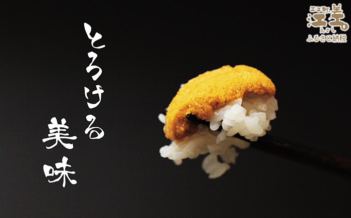 ＼2026年先行予約／北海道 江差前浜産 生うに 200g（100g×2パック）【無添加・みょうばん不使用】令和8年　江差産天然キタムラサキウニ　日本海熊石産海洋深層水　塩水ウニ　素材を生かした自然の味　国産うに　雲丹　100グラムパック個包装