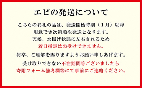 【早期予約・12月中旬以降 順次出荷予定】北海道産 違いが分かる天然日本海シマエビ 大サイズ 500g　色鮮やかで香りよし 濃厚な甘み 食べれば分かる格別の味！　国産　江差近海産　天然もの　エビかご漁師直送　最良品厳選　生食可　お刺身　天ぷら　エビフライ　海老