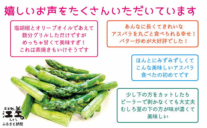 ＼春アスパラ 先行予約 2026年4月～順次出荷予定／北海道江差町産 アスパラガス【L～2Lサイズ】 1kg　約20本　太い！ 甘い！ ジューシー！　朝採り　農家直送　新鮮　鮮度保持　北海道　旬野菜　グリーンアスパラ　アスパラ　ギフト　贈答