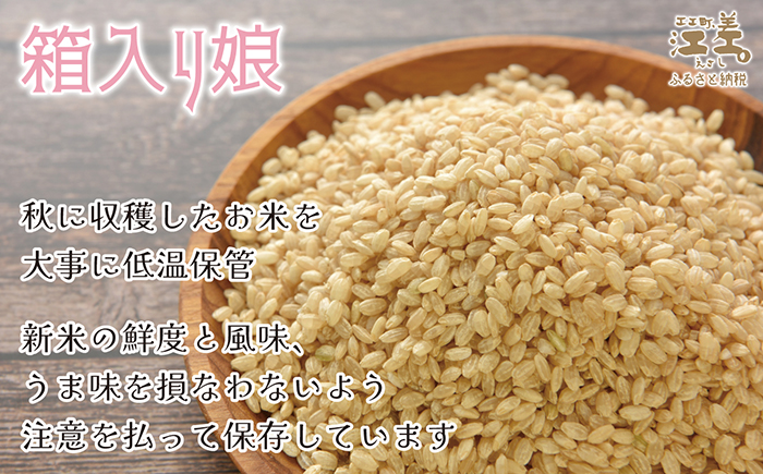 契約農家栽培 江差追分米『ふっくりんこ』【10kg（5kg×2袋）】令和7年産　2025年産　北海道江差町産　北海道米　白米　精米　お米　おこめ　こめ　ご飯　ごはん　農家直送　単一原料米　ブランド米　ふっくら食感、ここちよい甘さ