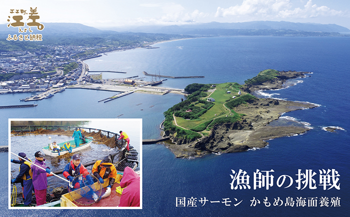 北海道産 サーモンの切り身［塩］6切れ　加熱調理用　日本海 かもめ島海面養殖　純国産 ブランドサーモン『江さしっ子 繁虎』　とろける脂　活締め　浜のかあさん手作り　冷凍　小分け　個包装　トラウトサーモン　塩鮭　焼き鮭　海鮮　鮭　さけ　シャケ　しゃけ　さーもん　焼き魚　保存料不使用