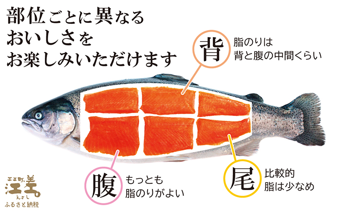 北海道産 サーモンのルイベ〈冷凍刺身〉お刺身用ブロック 12個　日本海 かもめ島海面養殖　純国産 ブランドサーモン『江さしっ子 繁虎』　とろける脂　活締め　浜のかあさん手作り　生食可　冷凍　小分け　個包装　トラウトサーモン　刺身　サーモンステーキ　カルパッチョ　海鮮　鮭　さけ　シャケ　しゃけ　さーもん　保存料不使用