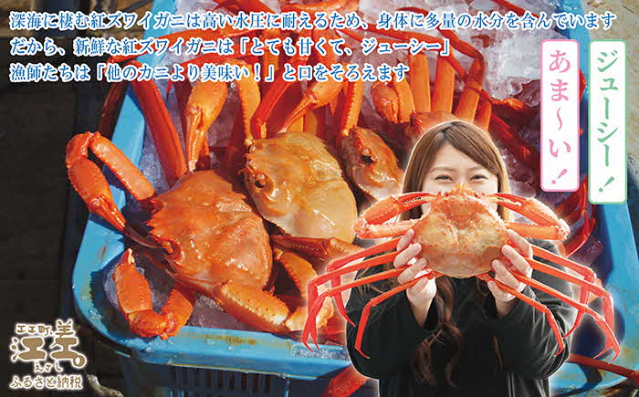 【年内配送受付12/10まで】『北海道北前蟹』脚むき身（ポーション）1kg（500g×2箱）　北海道日本海産紅ずわいがに　カニかご漁師直販！厳格な鮮度管理で甘くてジューシーな本場の味をお届け　むき身なのではずれなし！　新鮮生冷　かにしゃぶ　しゃぶしゃぶ　かに鍋　国産　かに足　かに脚　北海道産べにずわいがに　ギフト　贈答用