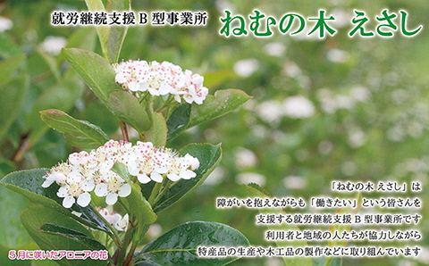 江差産果実の手づくりジャム　アロニア＆キウイフルーツ【思いやり型返礼品】各150g（計2個）　「自然のめぐみを生かした手づくりジャム」　農福連携