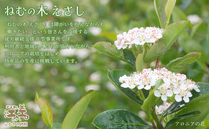 江差産果実使用 手摘み・手作り「アロニアじゃむ」1瓶170g×2本 　北海道産アロニアベリー　プレザーブスタイルジャム　ごろっとした果実の食感　ていねいな渋抜きで食べやすい　保存料不使用　【思いやり型返礼品】